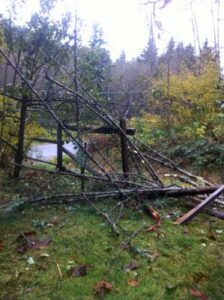 Modern Homesteading – Reality Check Image